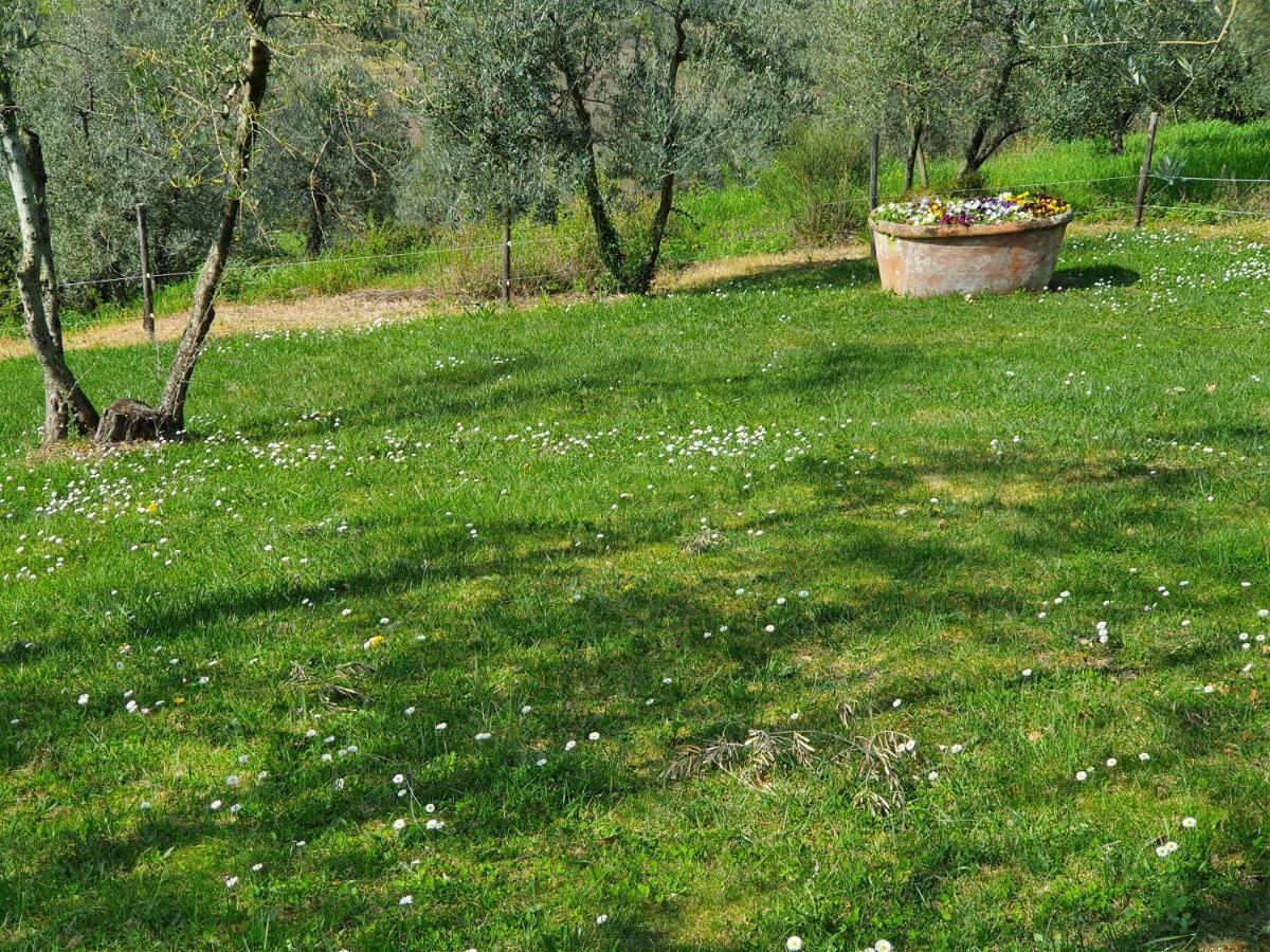 Bed and Breakfast Residenza Il Colle Impruneta Exteriér fotografie